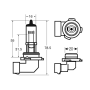 H12 PZ20d 12V 53W HALOGEN SUPER BIAŁY PRO+ BIAŁY 6000K EFEKT XENONOWY